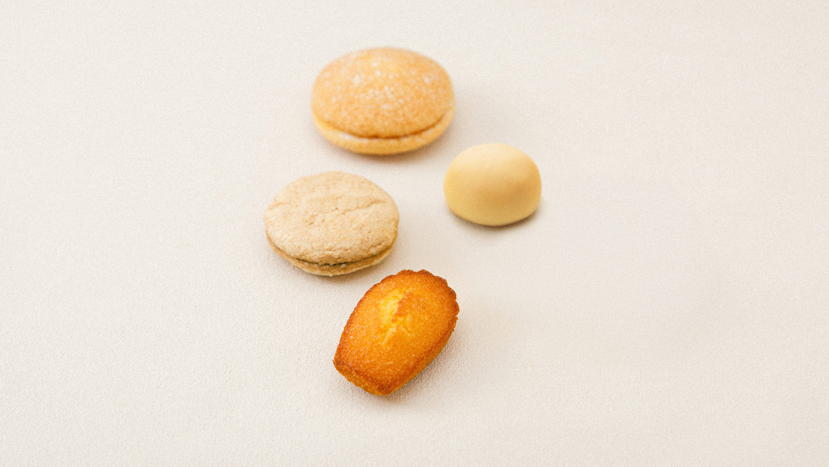 ガトーコンチェルト 中 | お菓子について | 洋菓子・和菓子の白十字