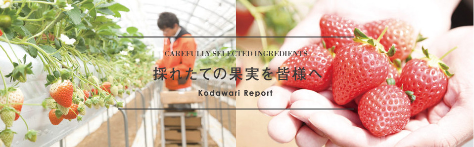 HAKUJUJI FARM 「穫れたての果実を皆様へ。」 kodawari vol.01