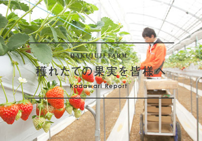 穫れたての果実を皆様へ。