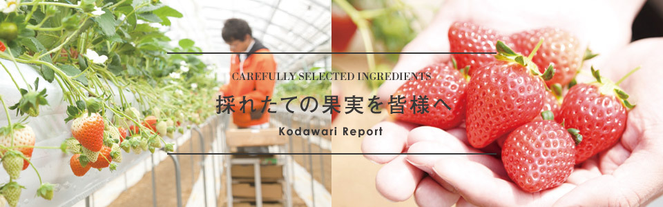 HAKUJUJI FARM 「穫れたての果実を皆様へ。」 kodawari vol.01